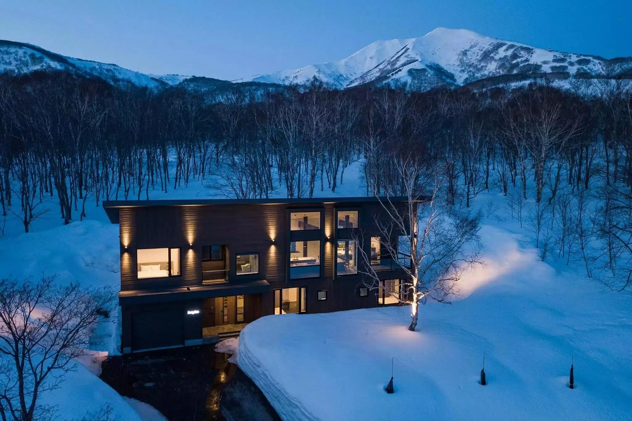 Luxury Villa Image 2